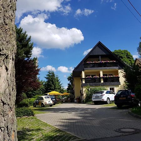 Hotel Sonne Seiffen Zewnętrze zdjęcie