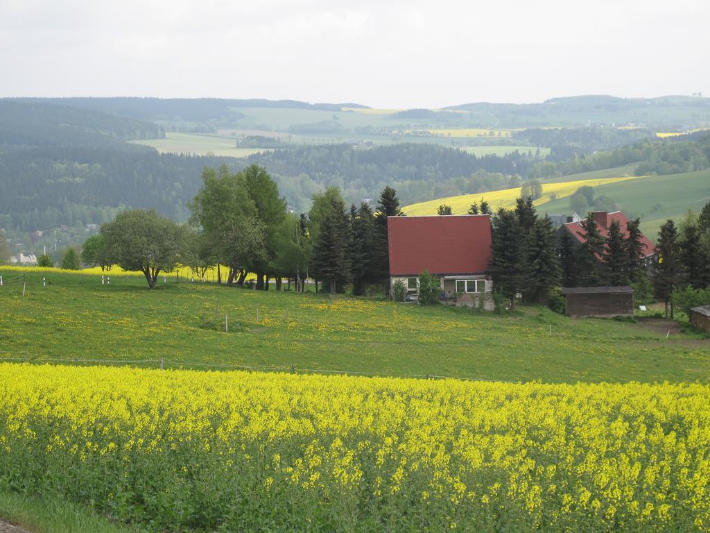 Hotel Sonne Seiffen Zewnętrze zdjęcie