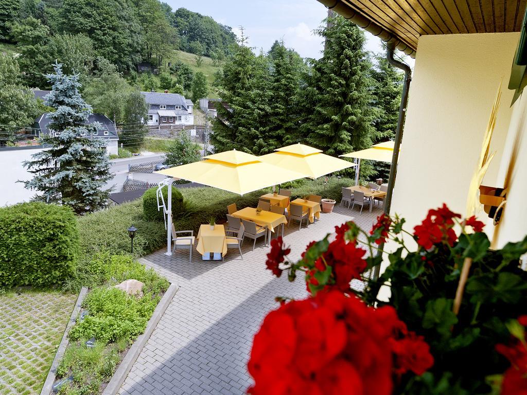 Hotel Sonne Seiffen Zewnętrze zdjęcie