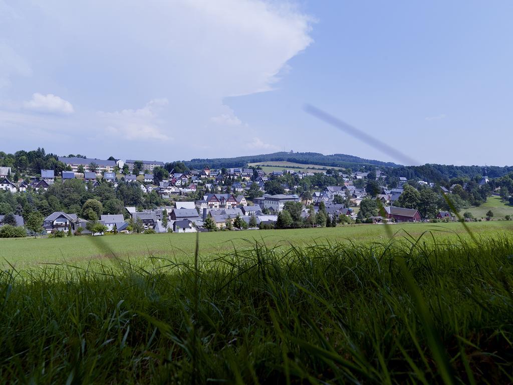 Hotel Sonne Seiffen Zewnętrze zdjęcie