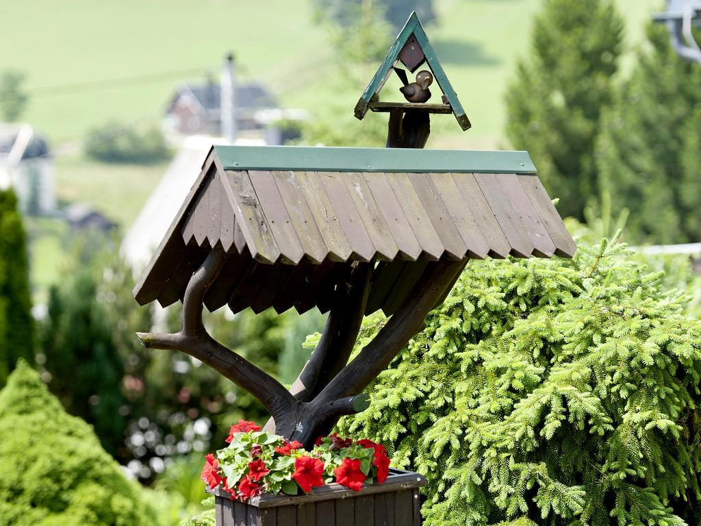 Hotel Sonne Seiffen Zewnętrze zdjęcie