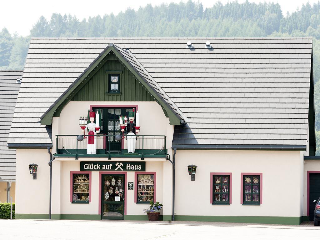 Hotel Sonne Seiffen Zewnętrze zdjęcie