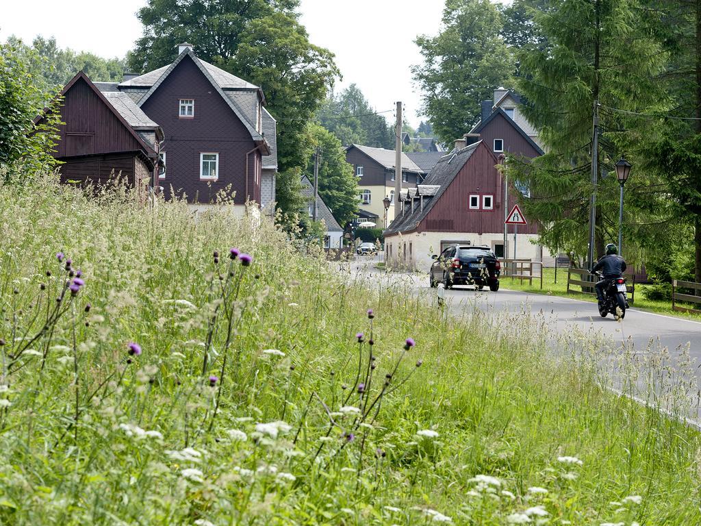 Hotel Sonne Seiffen Zewnętrze zdjęcie