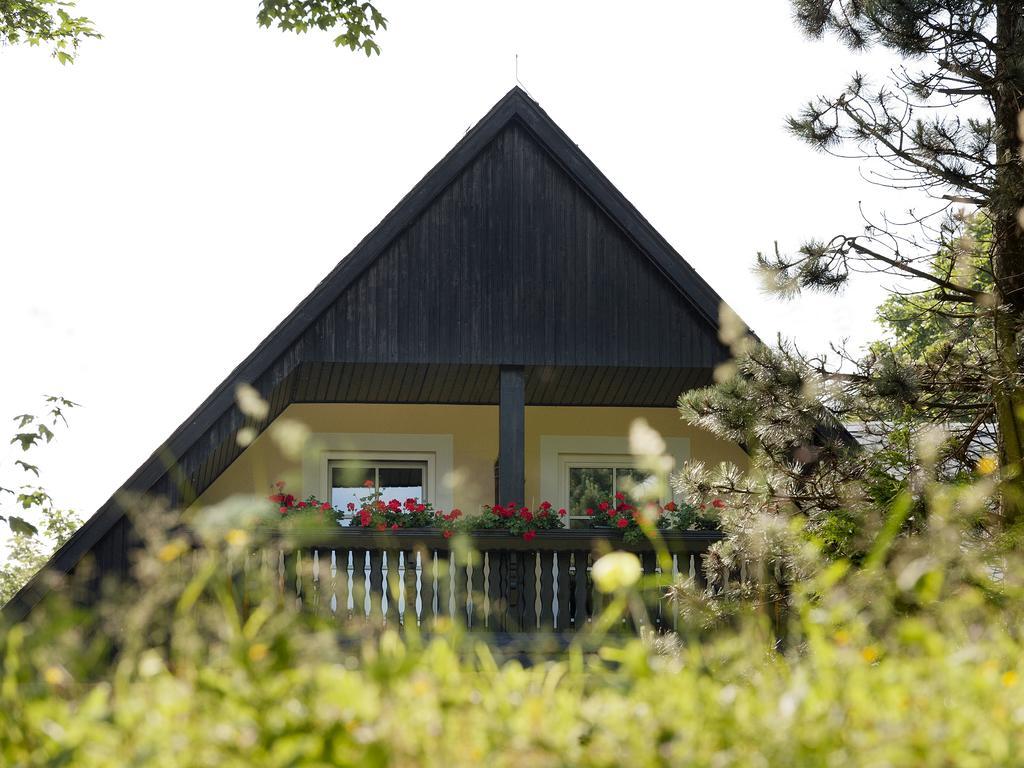 Hotel Sonne Seiffen Zewnętrze zdjęcie