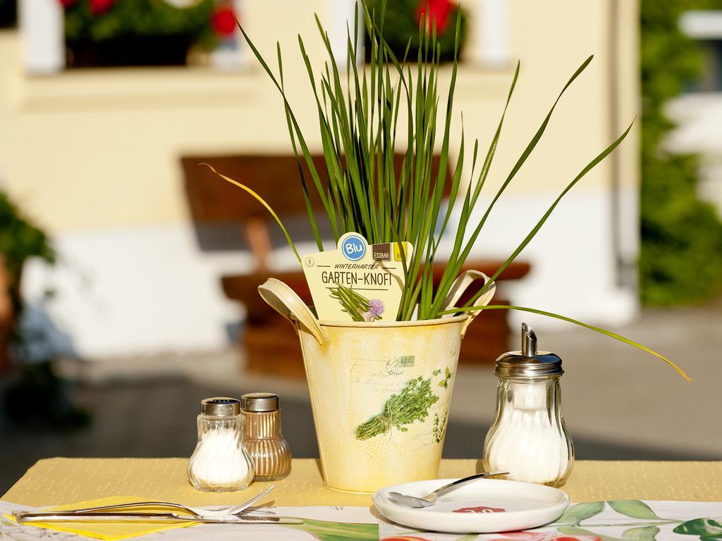 Hotel Sonne Seiffen Zewnętrze zdjęcie