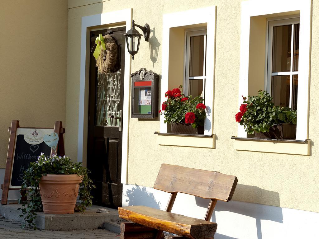 Hotel Sonne Seiffen Zewnętrze zdjęcie