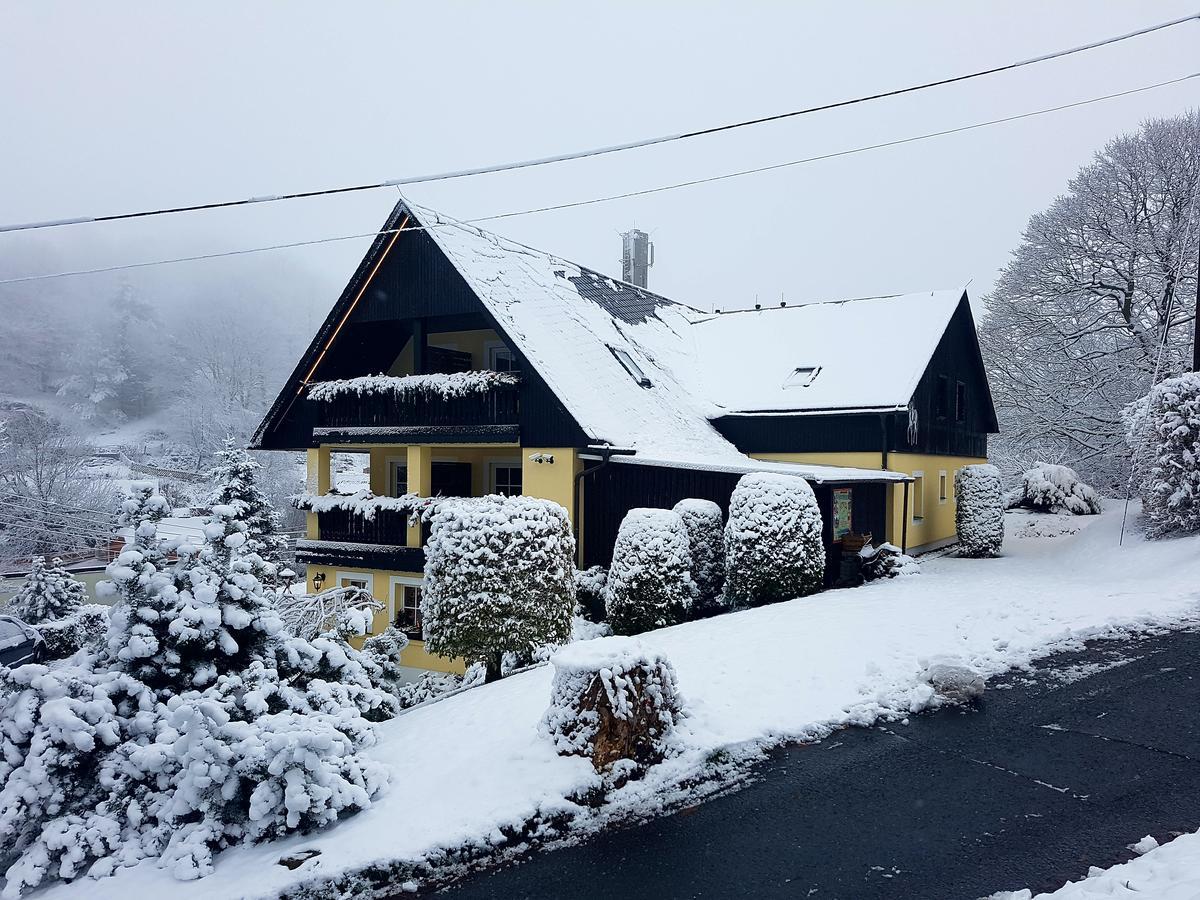 Hotel Sonne Seiffen Zewnętrze zdjęcie